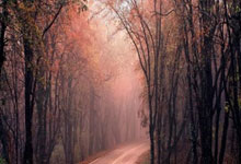 B体育:鲍曼:我不想说自己是不是头号门将,我只想尽我所能.