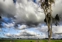 姆巴佩:若齐达内执教法国我会很欣喜 但我无法左右人选.