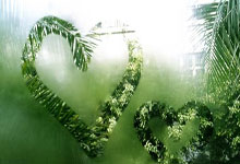 巴特勒加盟勇士联手库里!杜兰特不愿回金州中新体坛.