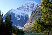 36岁阿根廷球员戈麦斯:希望明年回归赛场.